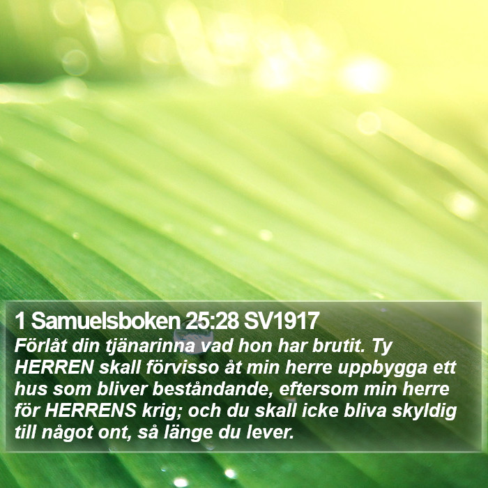 1 Samuelsboken 25:28 SV1917 Bible Study