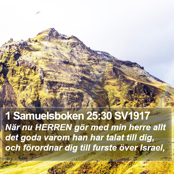 1 Samuelsboken 25:30 SV1917 Bible Study