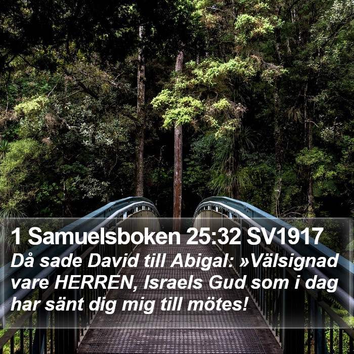 1 Samuelsboken 25:32 SV1917 Bible Study