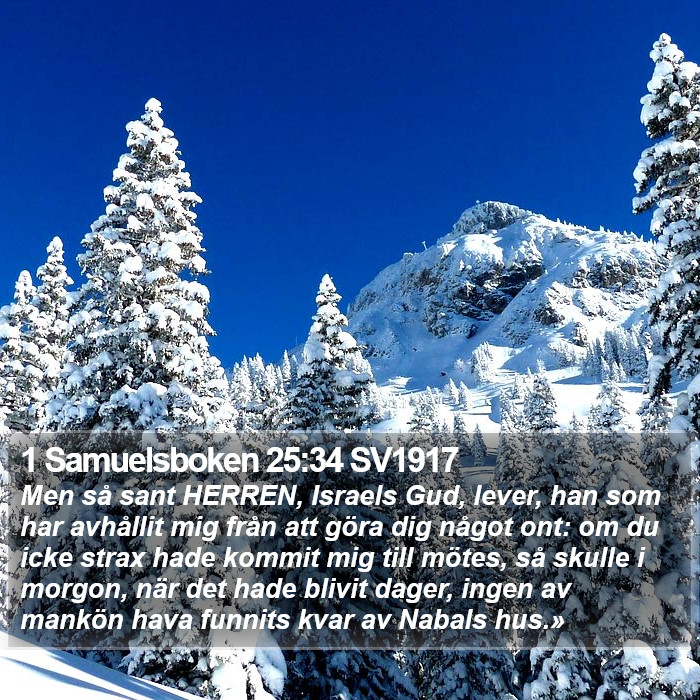 1 Samuelsboken 25:34 SV1917 Bible Study