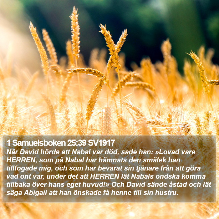 1 Samuelsboken 25:39 SV1917 Bible Study