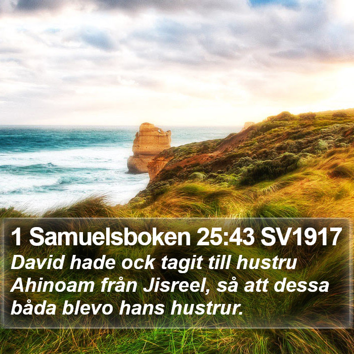 1 Samuelsboken 25:43 SV1917 Bible Study