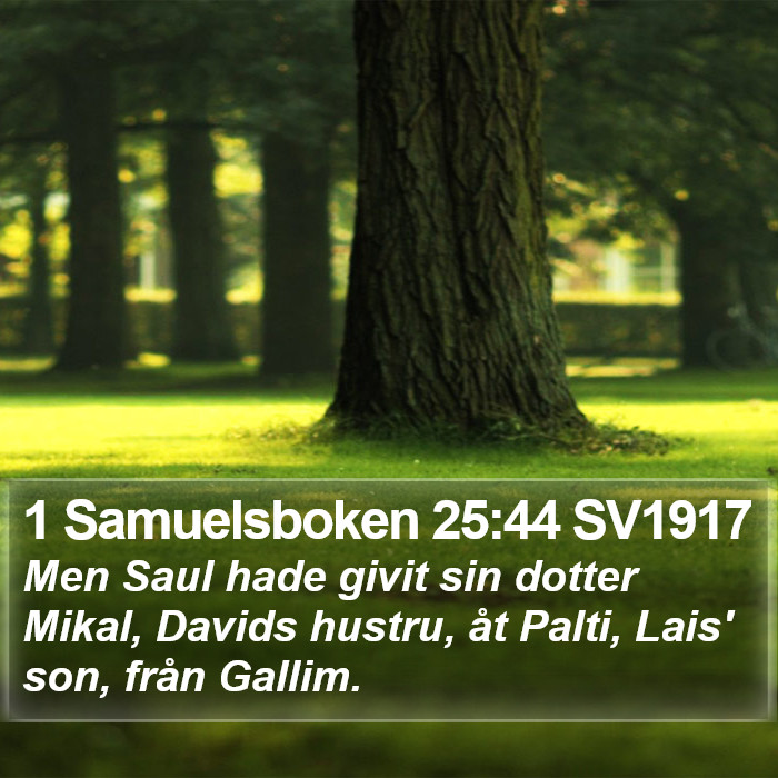 1 Samuelsboken 25:44 SV1917 Bible Study