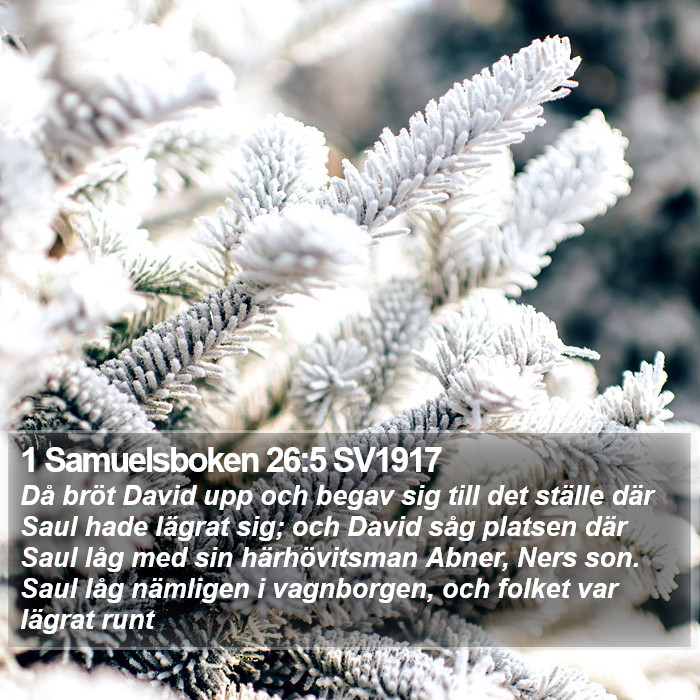 1 Samuelsboken 26:5 SV1917 Bible Study