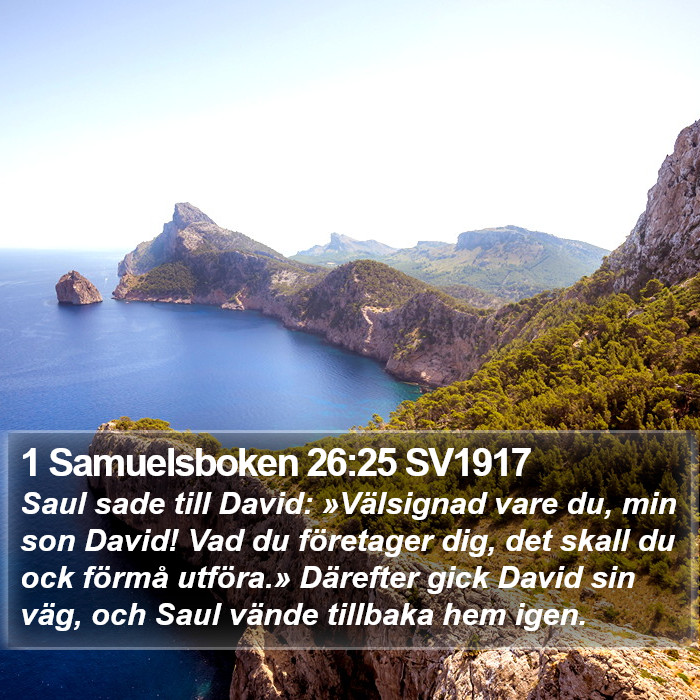 1 Samuelsboken 26:25 SV1917 Bible Study