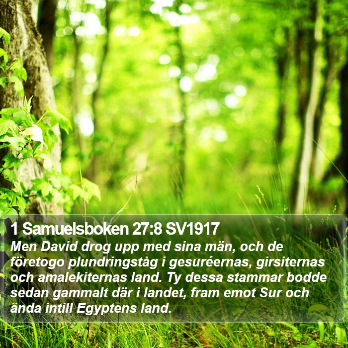 1 Samuelsboken 27:8 SV1917 Bible Study