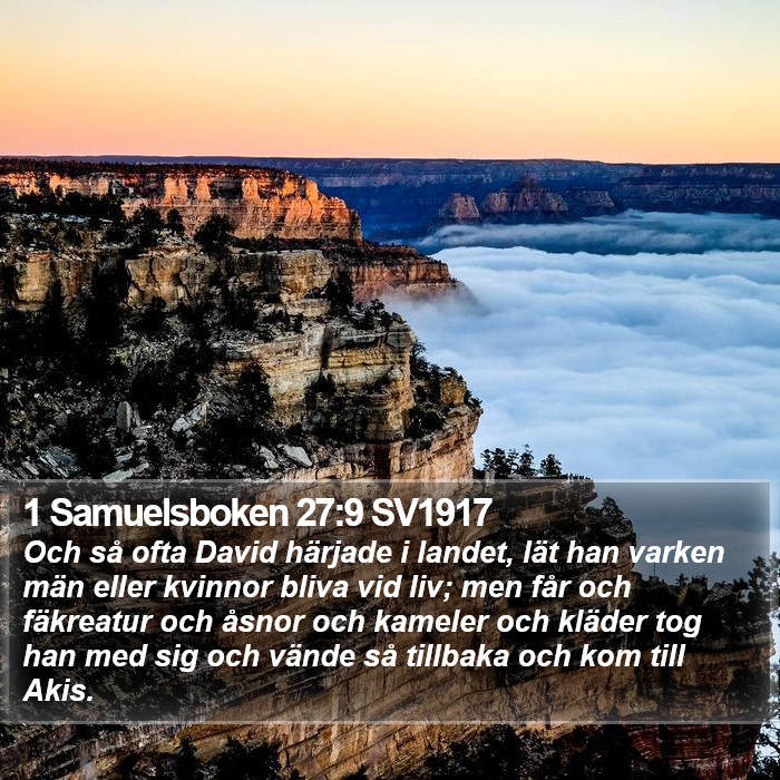 1 Samuelsboken 27:9 SV1917 Bible Study