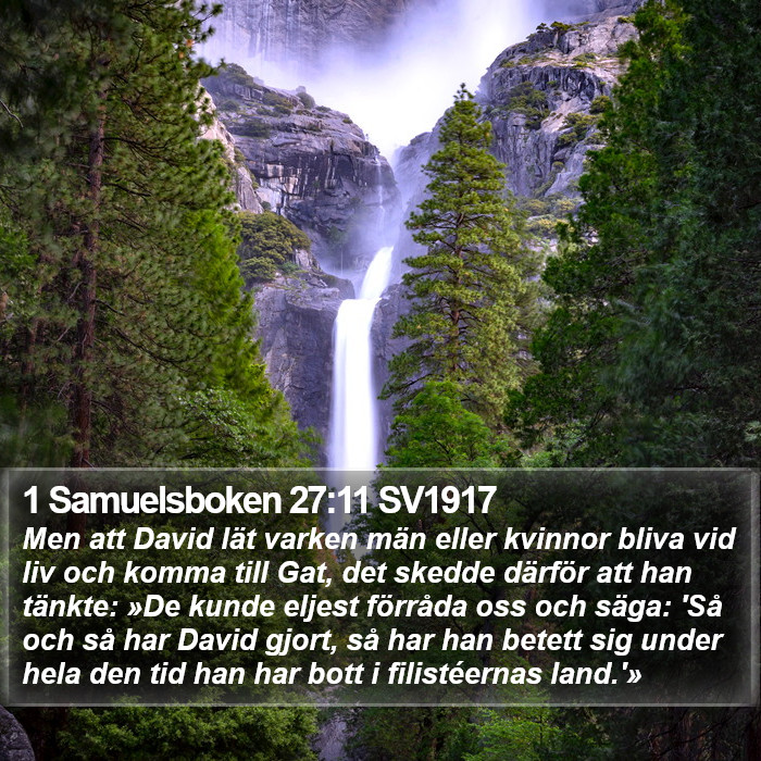 1 Samuelsboken 27:11 SV1917 Bible Study