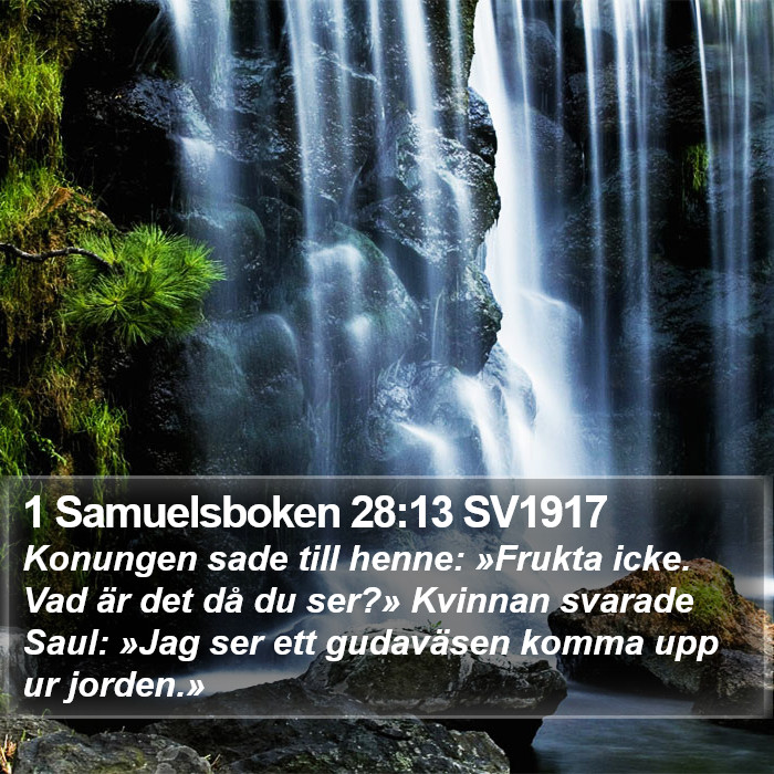 1 Samuelsboken 28:13 SV1917 Bible Study