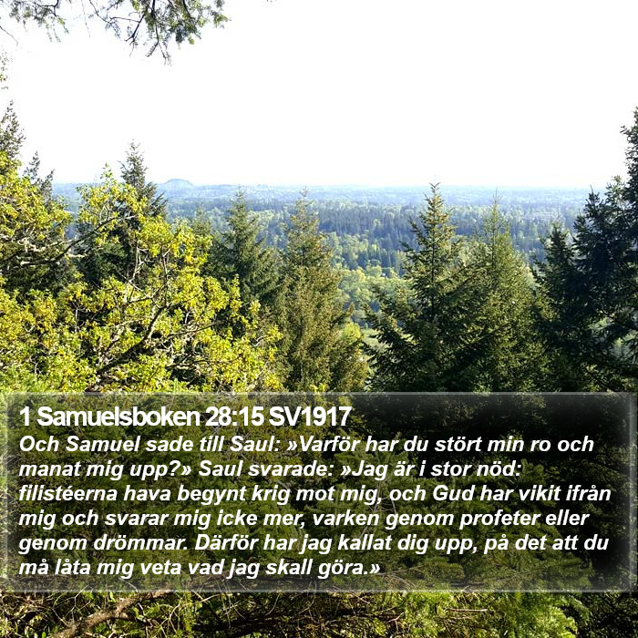 1 Samuelsboken 28:15 SV1917 Bible Study