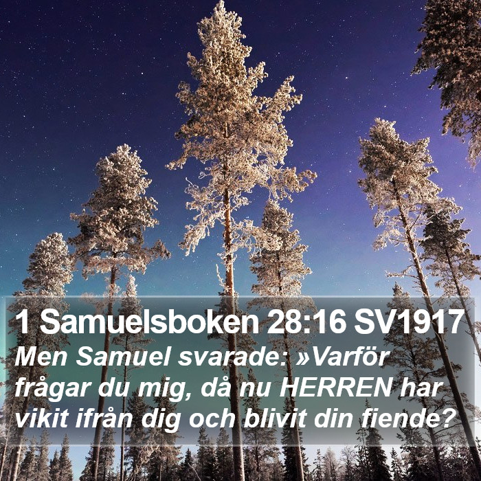 1 Samuelsboken 28:16 SV1917 Bible Study