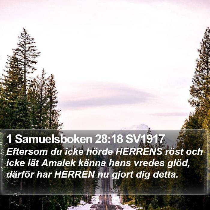 1 Samuelsboken 28:18 SV1917 Bible Study