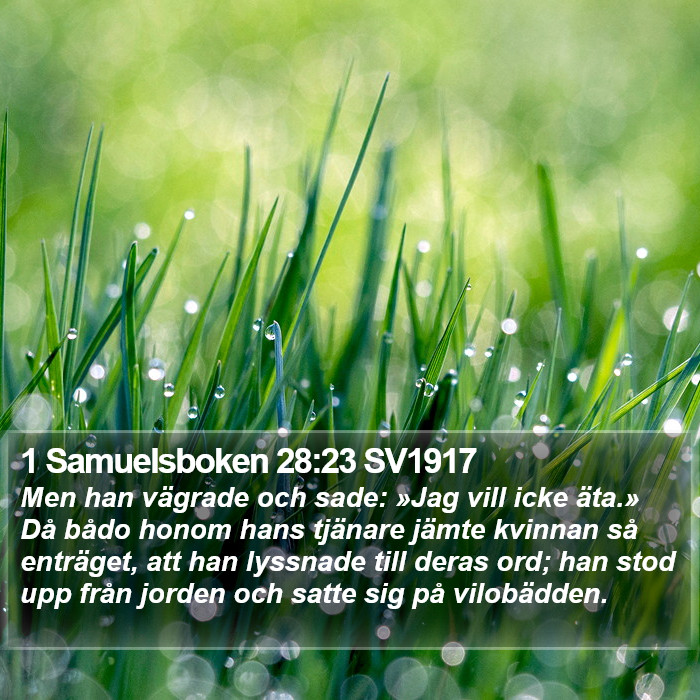 1 Samuelsboken 28:23 SV1917 Bible Study