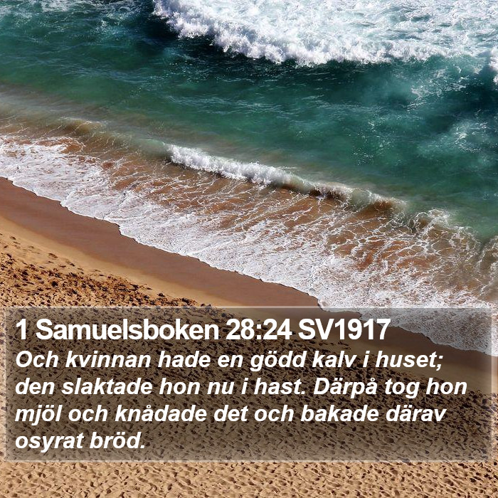 1 Samuelsboken 28:24 SV1917 Bible Study