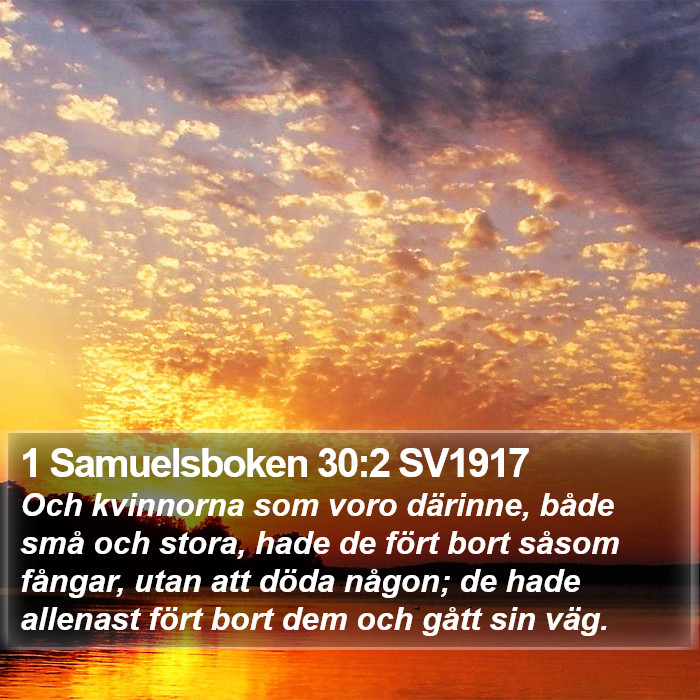 1 Samuelsboken 30:2 SV1917 Bible Study