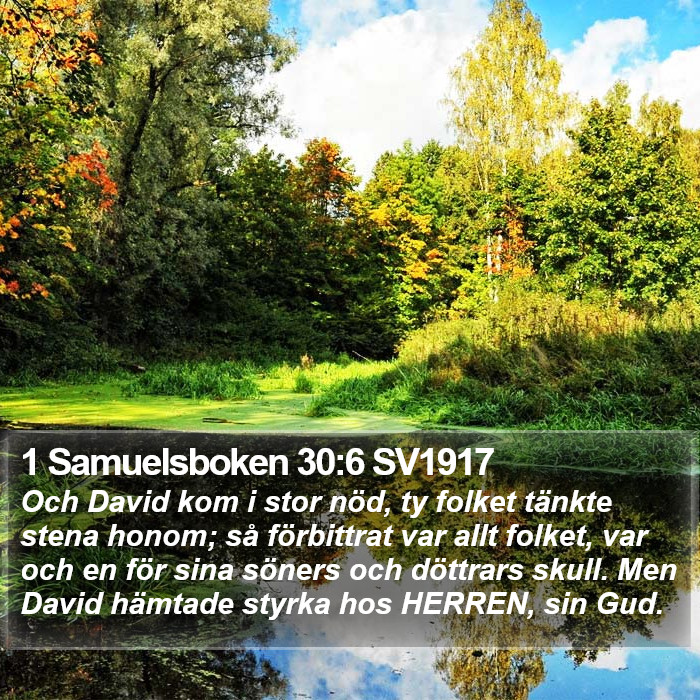 1 Samuelsboken 30:6 SV1917 Bible Study