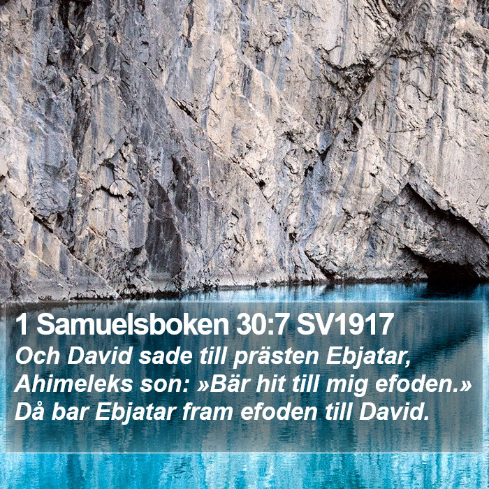 1 Samuelsboken 30:7 SV1917 Bible Study