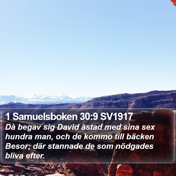 1 Samuelsboken 30:9 SV1917 Bible Study