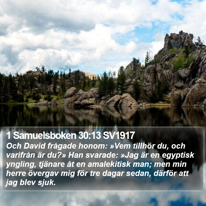 1 Samuelsboken 30:13 SV1917 Bible Study