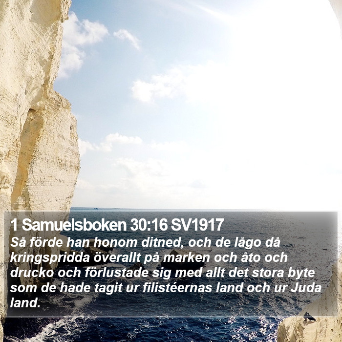 1 Samuelsboken 30:16 SV1917 Bible Study