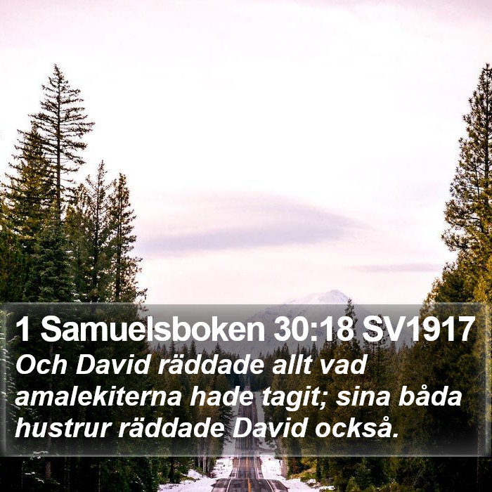 1 Samuelsboken 30:18 SV1917 Bible Study