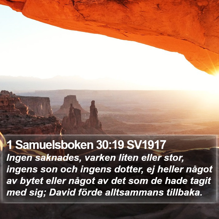 1 Samuelsboken 30:19 SV1917 Bible Study