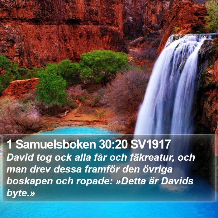 1 Samuelsboken 30:20 SV1917 Bible Study