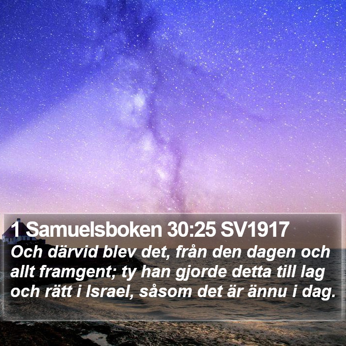 1 Samuelsboken 30:25 SV1917 Bible Study