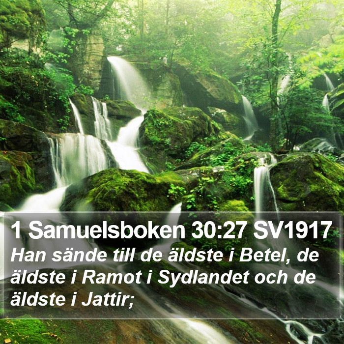 1 Samuelsboken 30:27 SV1917 Bible Study