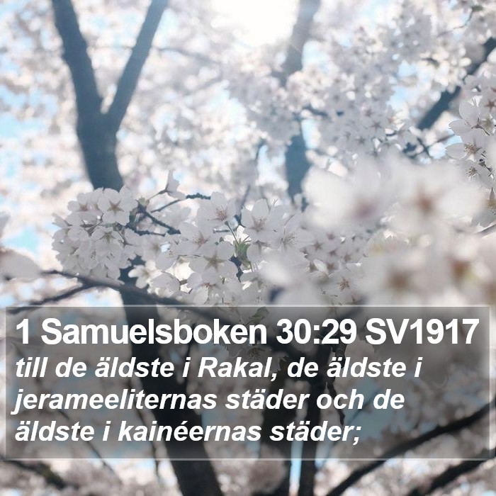 1 Samuelsboken 30:29 SV1917 Bible Study