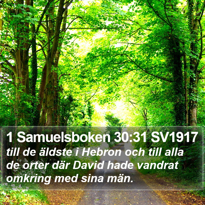 1 Samuelsboken 30:31 SV1917 Bible Study