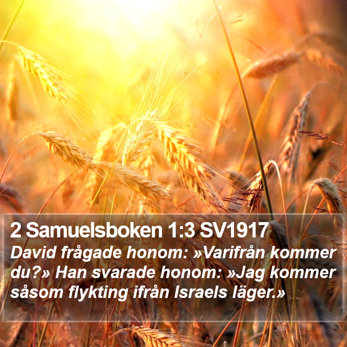 2 Samuelsboken 1:3 SV1917 Bible Study