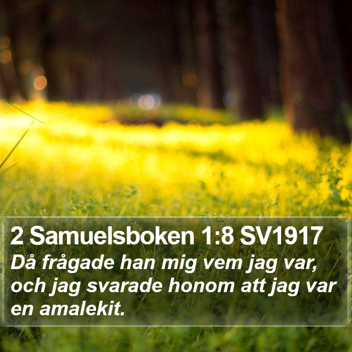 2 Samuelsboken 1:8 SV1917 Bible Study