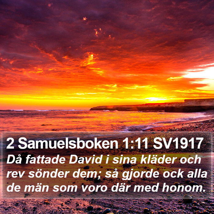 2 Samuelsboken 1:11 SV1917 Bible Study