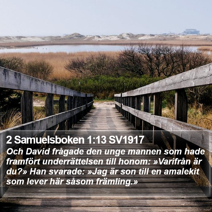 2 Samuelsboken 1:13 SV1917 Bible Study