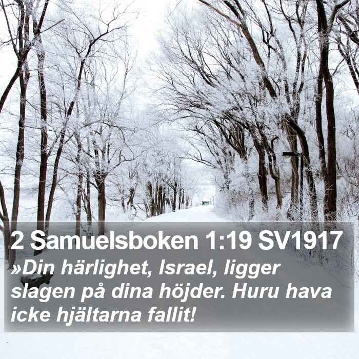 2 Samuelsboken 1:19 SV1917 Bible Study