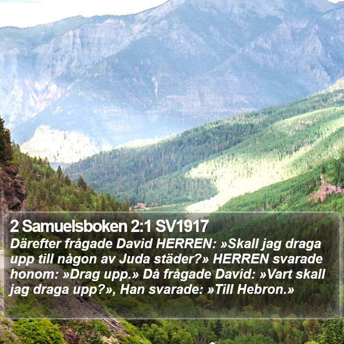 2 Samuelsboken 2:1 SV1917 Bible Study