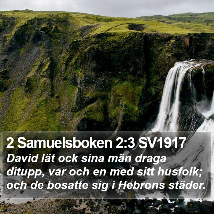 2 Samuelsboken 2:3 SV1917 Bible Study