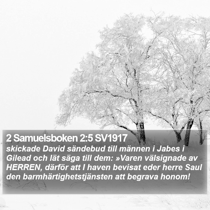 2 Samuelsboken 2:5 SV1917 Bible Study