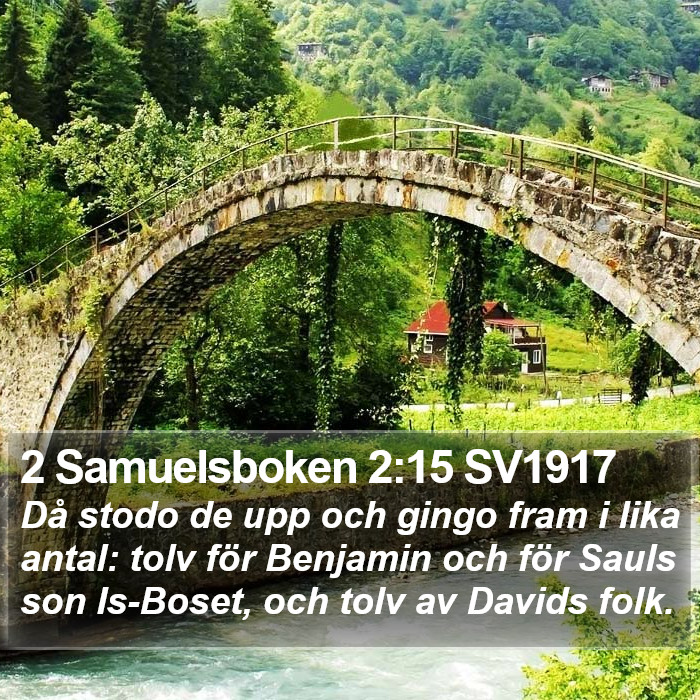 2 Samuelsboken 2:15 SV1917 Bible Study