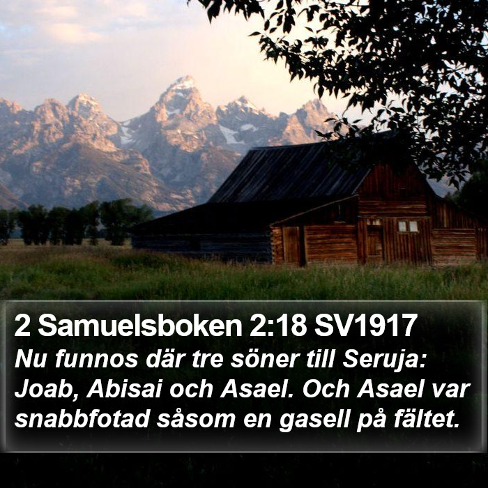 2 Samuelsboken 2:18 SV1917 Bible Study
