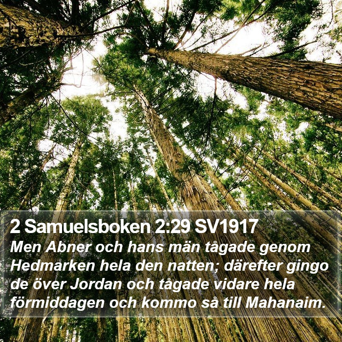 2 Samuelsboken 2:29 SV1917 Bible Study