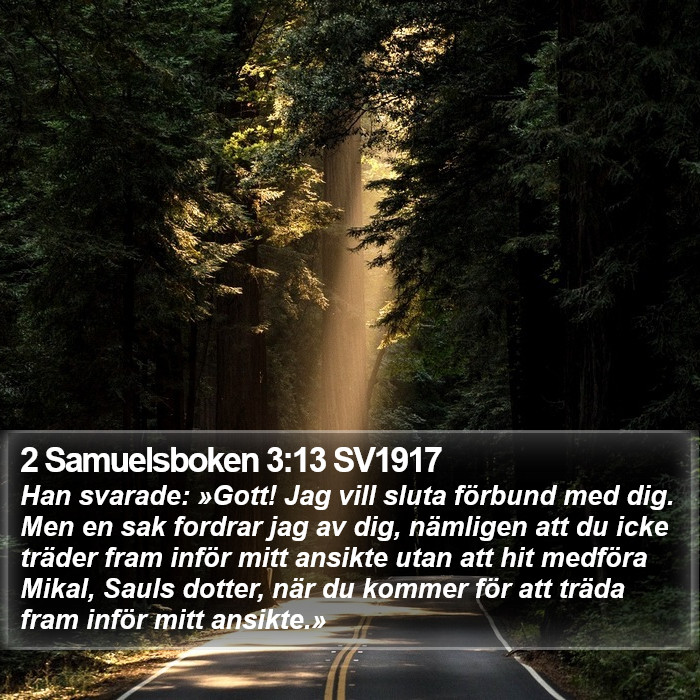 2 Samuelsboken 3:13 SV1917 Bible Study