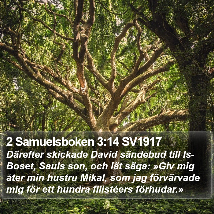 2 Samuelsboken 3:14 SV1917 Bible Study