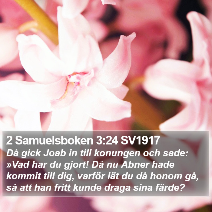 2 Samuelsboken 3:24 SV1917 Bible Study