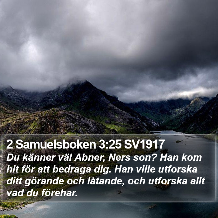 2 Samuelsboken 3:25 SV1917 Bible Study
