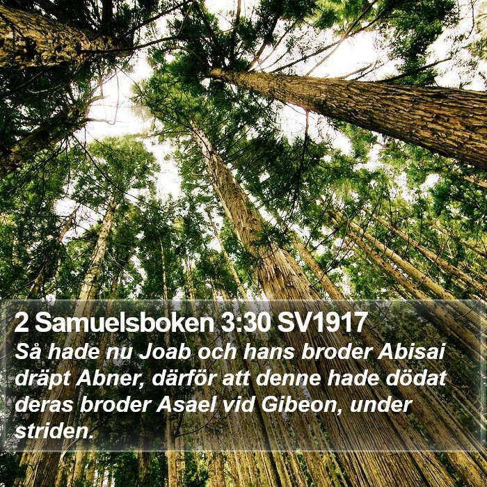 2 Samuelsboken 3:30 SV1917 Bible Study