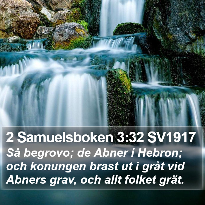 2 Samuelsboken 3:32 SV1917 Bible Study