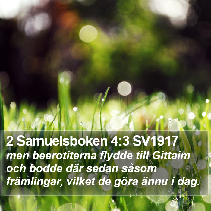 2 Samuelsboken 4:3 SV1917 Bible Study