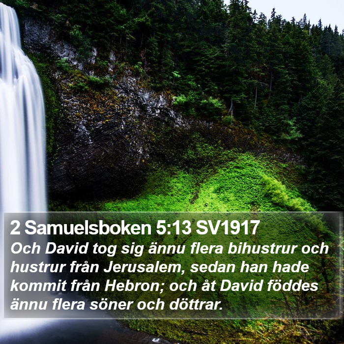 2 Samuelsboken 5:13 SV1917 Bible Study